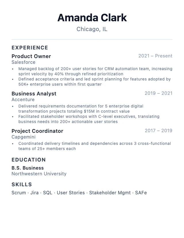 Product Owner resume example
