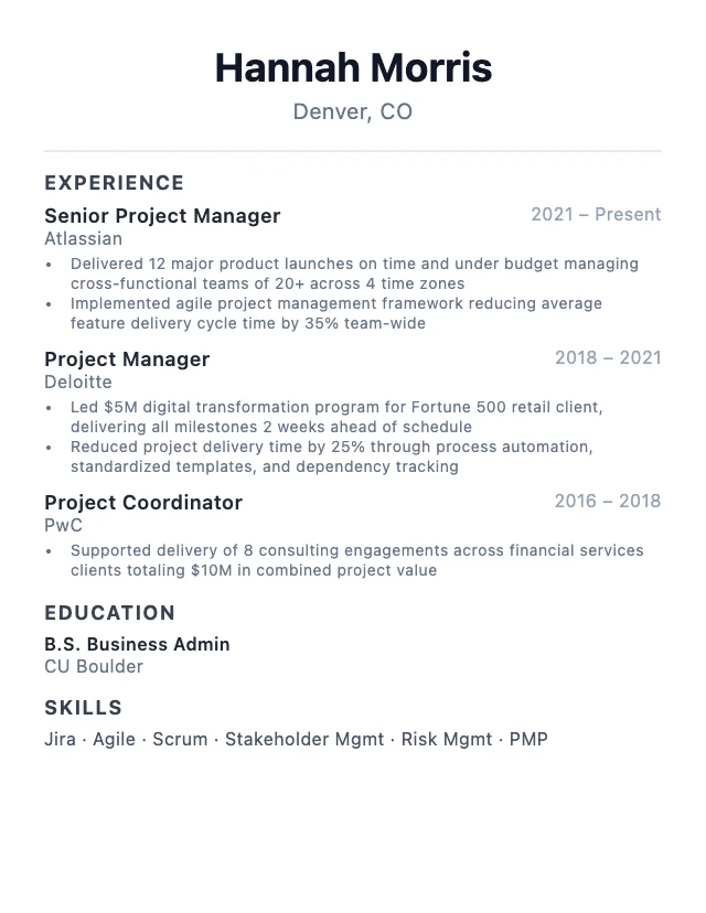 Project Manager resume example
